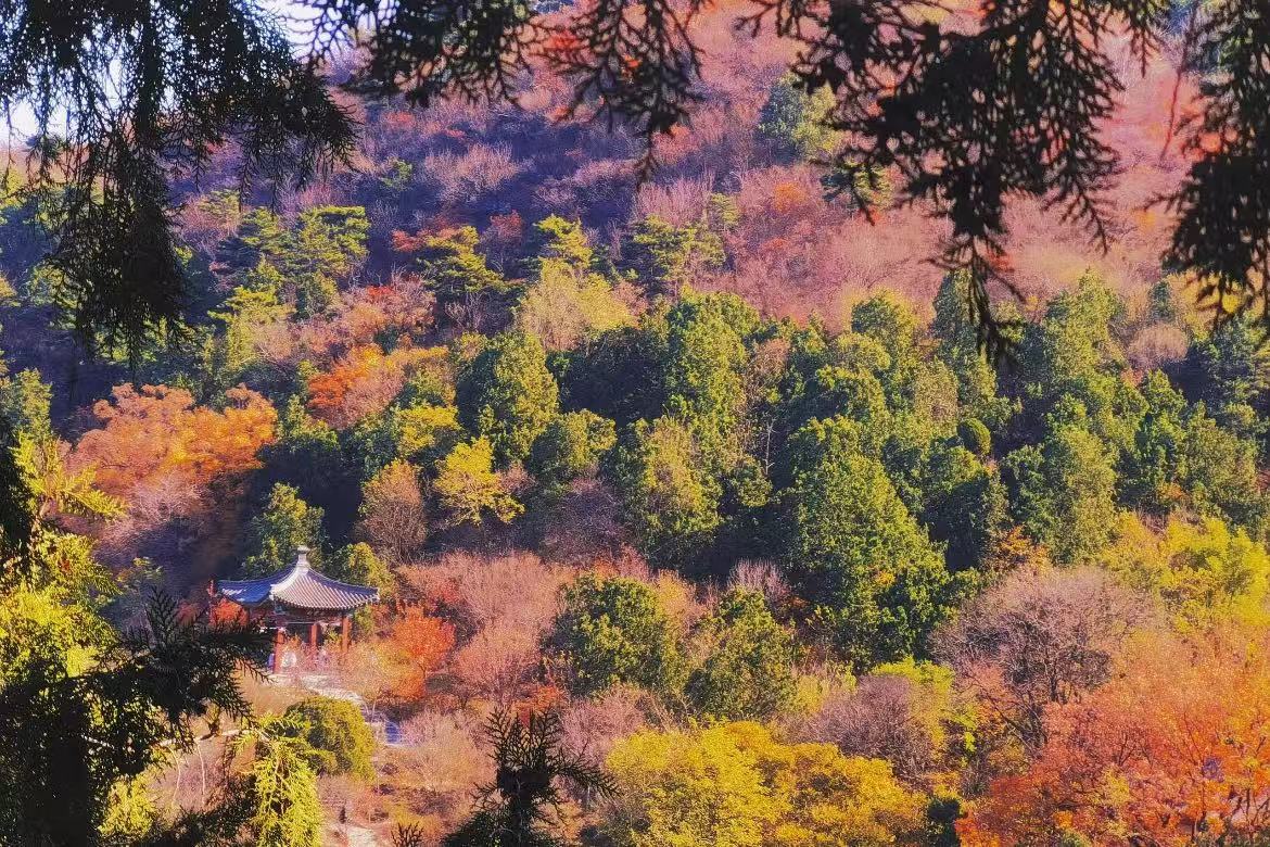 Fragrant Hills Park